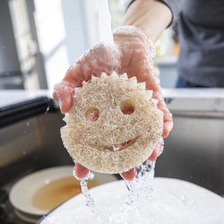 Scrub Daddy CocoMesh Scrubber (L26J)