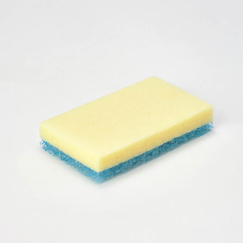 Sponge Daddy (4ct) (5GJE)